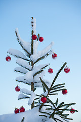 Image showing christmas balls on tree