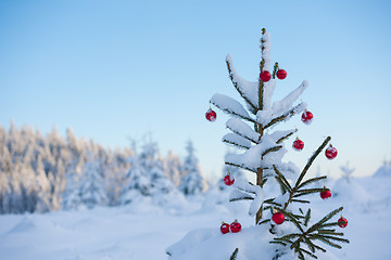 Image showing christmas balls on tree