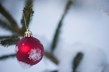 Image showing christmas balls on tree