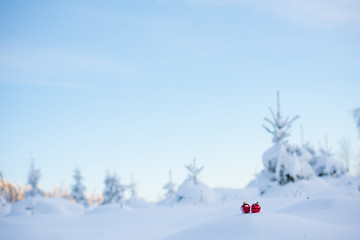 Image showing christmas ball in snow