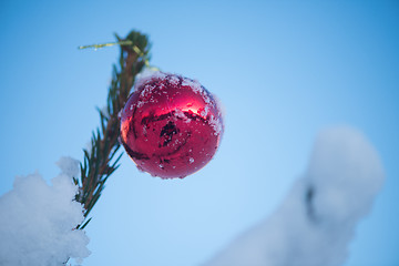 Image showing christmas balls on tree