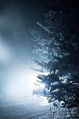 Image showing tree covered with fresh snow at winter night