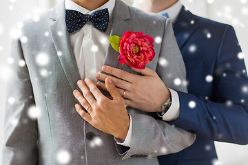 Image showing close up of happy male gay couple