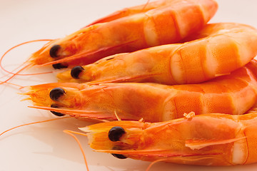 Image showing Prawns