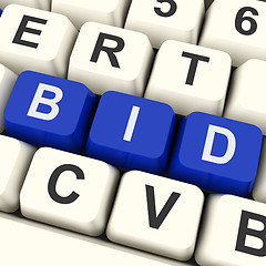 Image showing Bid Keys Show Online Bidding Or Auction