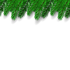 Image showing Fir Branch. Symbol of New Year.