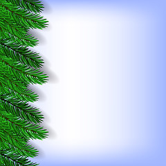 Image showing Fir Green Branches