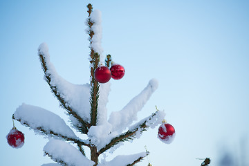 Image showing christmas balls on tree