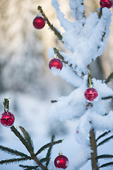 Image showing christmas balls on tree