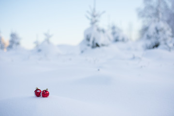 Image showing christmas ball in snow