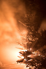 Image showing tree covered with fresh snow at winter night