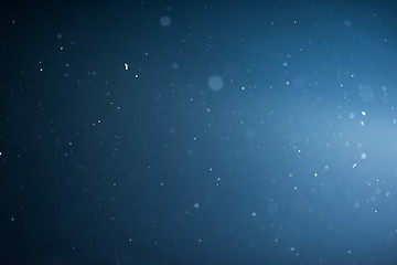 Image showing falling snow