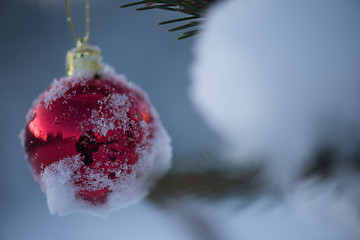 Image showing christmas balls on tree