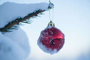 Image showing christmas balls on tree