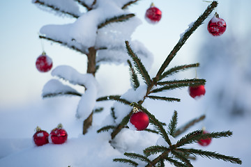 Image showing christmas balls on tree