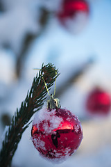 Image showing christmas balls on tree