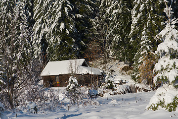 Image showing small cabin covered with fresh snow