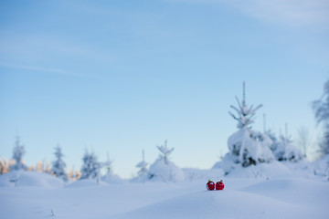 Image showing christmas ball in snow