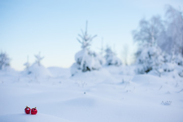 Image showing christmas ball in snow