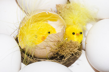 Image showing Easter Chickens