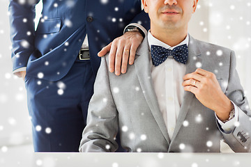 Image showing close up of male gay couple with wedding rings on