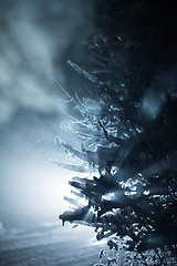 Image showing tree covered with fresh snow at winter night