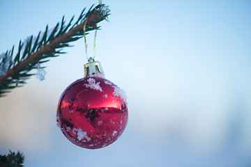 Image showing christmas balls on tree