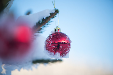 Image showing christmas balls on tree