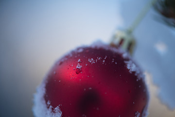 Image showing christmas balls on tree