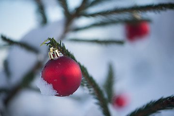 Image showing christmas balls on tree