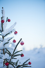 Image showing christmas balls on tree