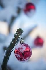 Image showing christmas balls on tree