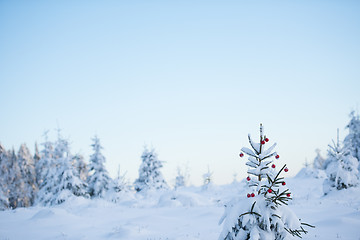 Image showing christmas balls on tree