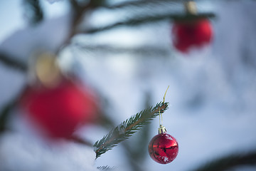 Image showing christmas balls on tree