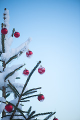 Image showing christmas balls on tree