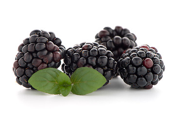 Image showing Blackberries with leaves