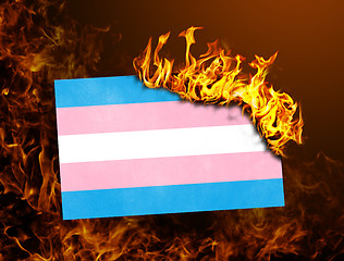 Image showing Flag burning - Trans Pride