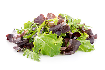 Image showing Fresh salad mix