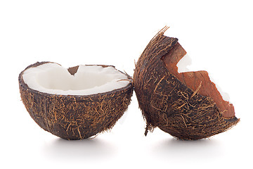 Image showing Coconut