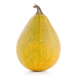 Image showing Pumpkin