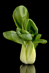 Image showing Pak choi on black 