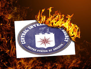 Image showing Flag burning - CIA