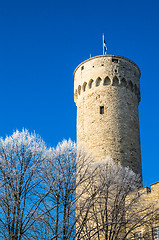 Image showing View of the tower Long Herman and the parliament building in Tal