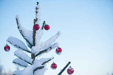 Image showing christmas balls on tree