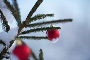 Image showing christmas balls on tree