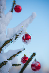 Image showing christmas balls on tree