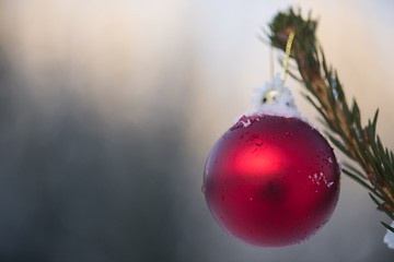 Image showing christmas balls on tree