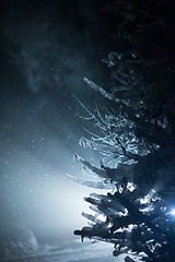 Image showing tree covered with fresh snow at winter night