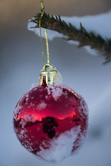 Image showing christmas balls on tree