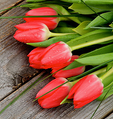 Image showing Bouquet of Spring Tulips